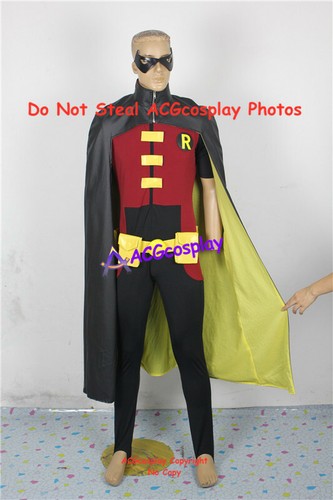 Robin cosplay costume from - cosplay,